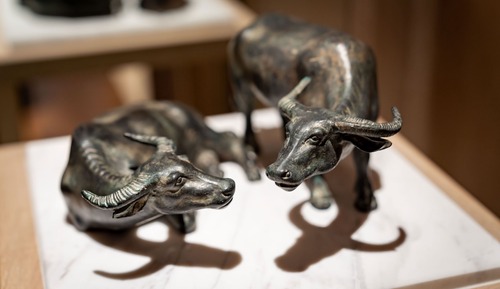 Habitación, 2 camas individuales, acceso a la piscina