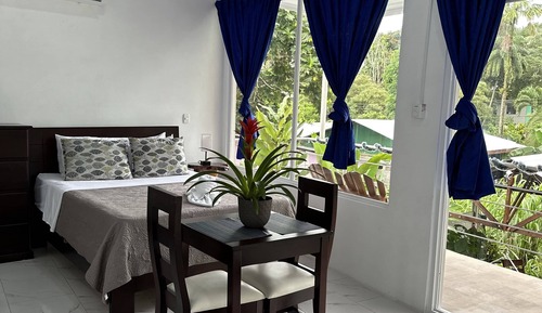 Habitación superior, 1 cama de matrimonio, cocina básica, vistas al parque