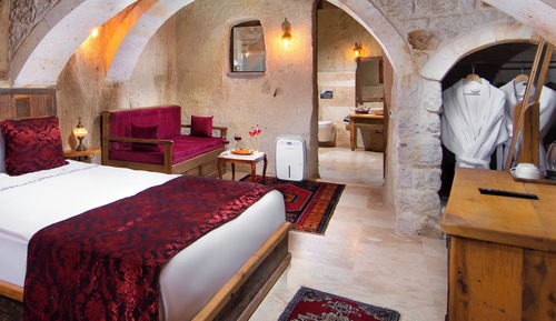 Deluxe Cave Room 302