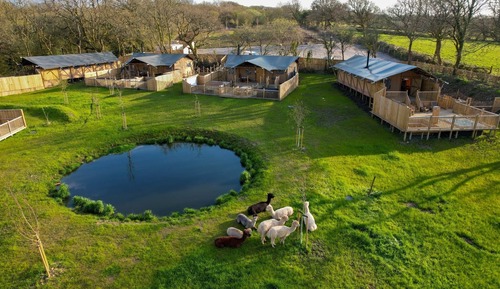 Tienda Premium, baño privado, vistas al jardín