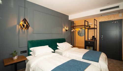 Habitación Deluxe con 2 camas individuales