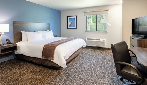 Habitación, 1 cama de matrimonio, accesible para personas con discapacidad (Hearing, Roll-in Shower)