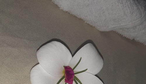 Habitación triple Premium