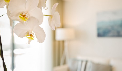 Suite Deluxe, 2 habitaciones, bañera de hidromasaje, vistas a la piscina