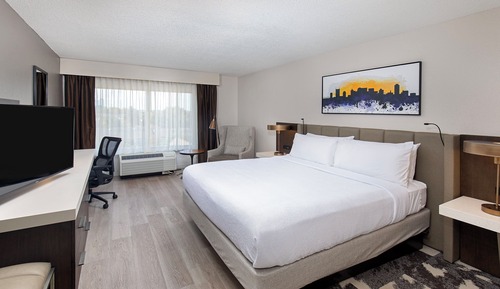 Habitación estándar, 1 cama de matrimonio grande, accesible en silla de ruedas (Mobility)