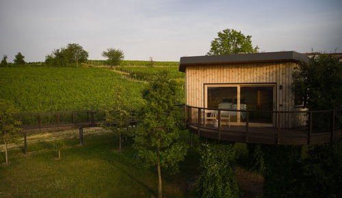 Suite superior, 1 cama de matrimonio (House in the vineyards)