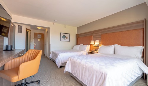 Habitación estándar, 2 camas dobles, vistas al jardín