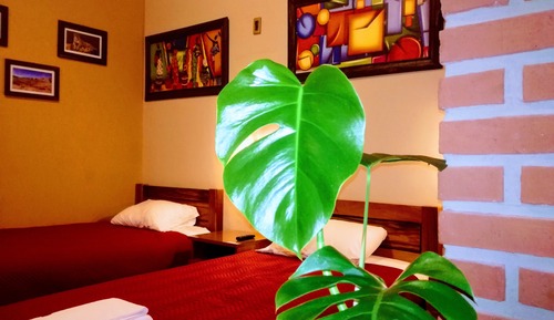 Habitación triple Confort