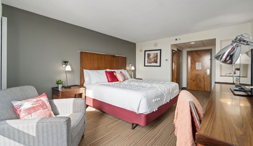 Habitación estándar, 1 cama de matrimonio grande