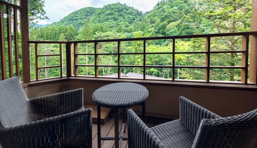 Habitación Deluxe con 2 camas individuales