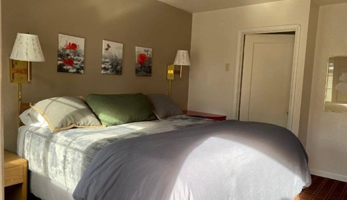 Habitación básica, 1 cama de matrimonio grande