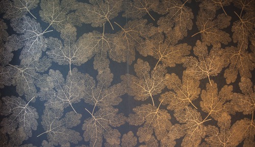 Habitación individual económica (private WC and shared shower, No Pets)