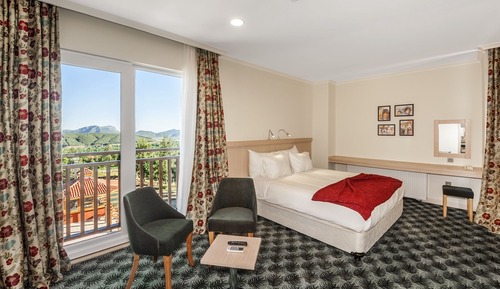 Habitación doble, vistas a la montaña