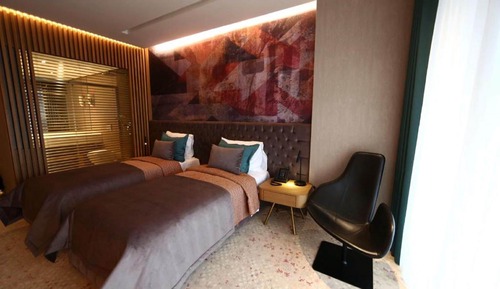 Habitación Deluxe con 2 camas individuales