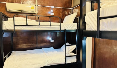 Dormitorio compartido, dormitorio mixto (Bed in 6-Bed Mixed Dorm Room)