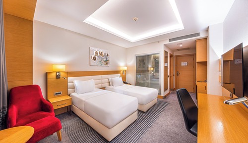 Habitación estándar, 2 camas individuales, fumadores