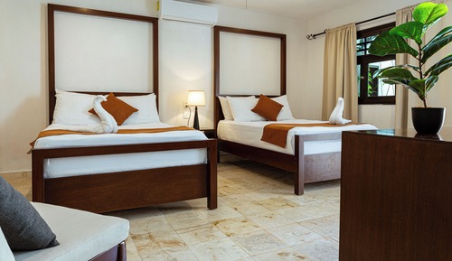 Suite estudio junior, 2 camas de matrimonio