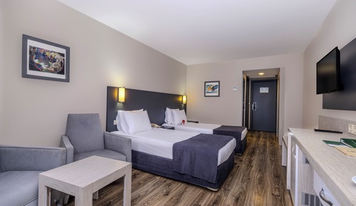 Superior Large Room ( Bunk Bed )