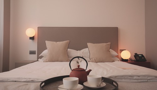 Suite junior, vistas al viñedo