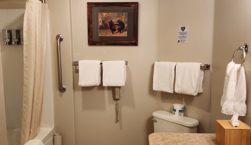 Habitación, 2 camas de matrimonio (Queen-Pet Friendly)