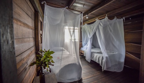 Habitación estándar, 2 camas individuales