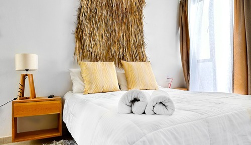 Dream room xochimilco pedestria patio r3