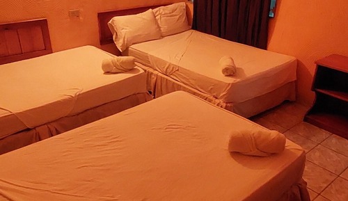 Habitación triple básica