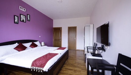 Suite estudio Premium