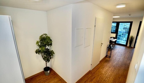 Habitación económica con 1 cama doble o 2 individuales