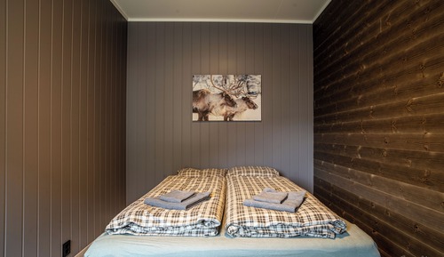 Apartamento estándar, 1 cama de matrimonio con sofá cama, terraza, vistas a la montaña