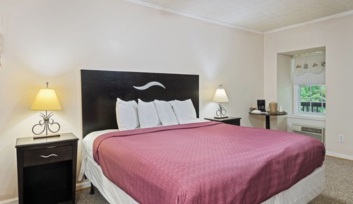 Habitación básica, 1 cama de matrimonio grande