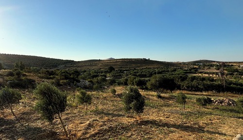 Habitación estándar, vistas a la colina