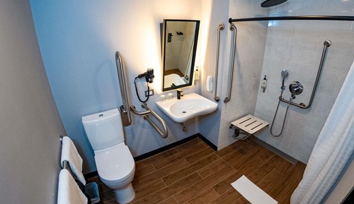Habitación estándar, 1 cama doble, accesible para personas con discapacidad (Accessible)