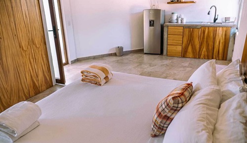 Habitación Deluxe doble de uso individual