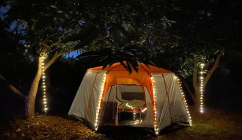 Premium Glamping Tent