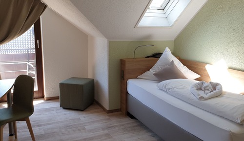 Habitación individual, baño privado (Komfort)