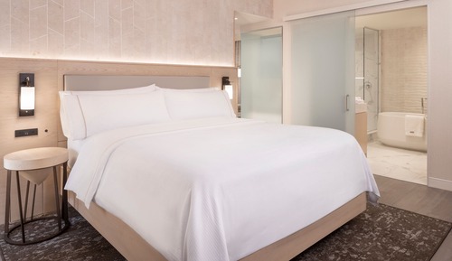 Suite ejecutiva, 1 cama de matrimonio grande con sofá cama