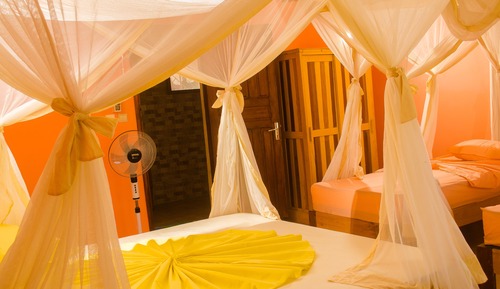 Habitación Confort con 1 cama doble o 2 individuales