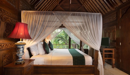 Deluxe Rainforest Villa