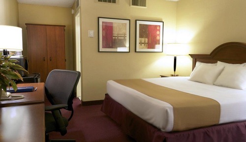 Suite ejecutiva, 1 cama de matrimonio grande con sofá cama