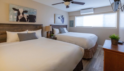 Deluxe 1 bedroom suite with Kitchen-2 Queen Beds. Downstairs 