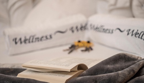 Ático Deluxe, 4 habitaciones, sauna, vistas a la montaña (Private Spa & rooftop Terrace)