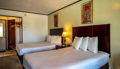 Habitación estándar, 2 camas dobles, no fumadores, vistas a la piscina