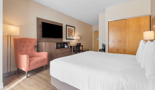 Habitación estándar, 1 cama de matrimonio grande, accesible para personas con discapacidad