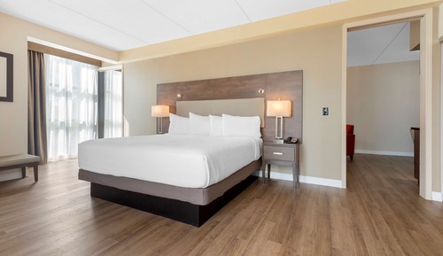 Suite, 1 cama de matrimonio grande con sofá cama, frigorífico y microondas (with Sofabed)