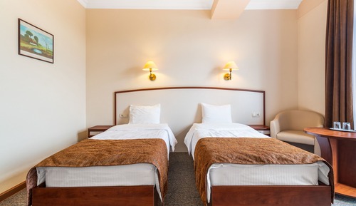 Habitación estándar con 2 camas individuales