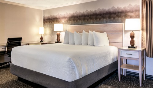 NON-VIEW KING PET FRIENDLY