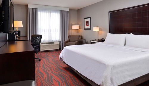 Habitación estándar, 1 cama de matrimonio grande