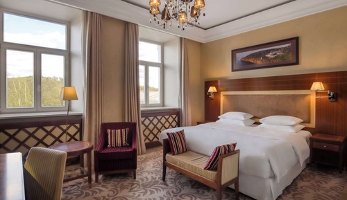 Habitación Deluxe doble, 1 cama de matrimonio grande