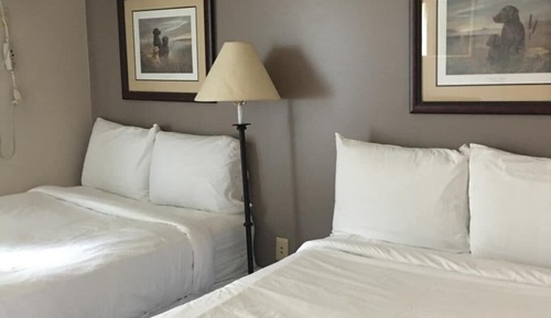 Suite estándar, 2 camas dobles, no fumadores